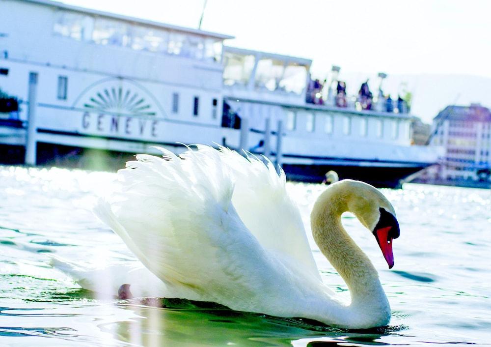 Hotel Les Nations Geneva Ngoại thất bức ảnh